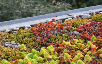 the cost of Shepherdswell Or Sibertswold green roof installation