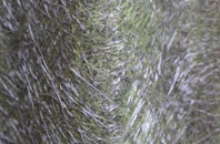 Shepherdswell Or Sibertswold fibreglass roof work